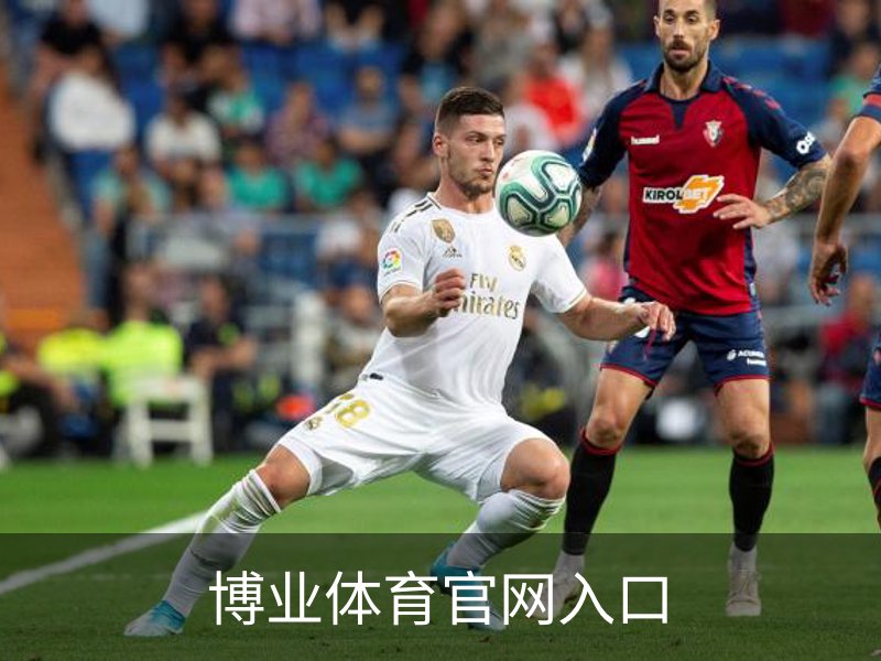 博业体育官网入口概况